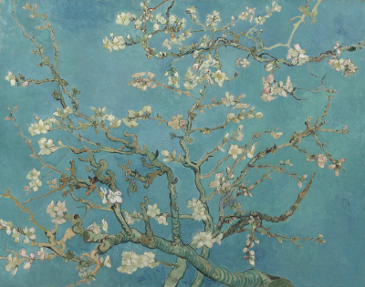 Trees: The Silent Storytellers of the Landscape